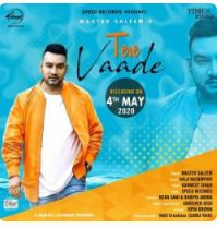 download Tere-Vaade Master Saleem mp3